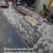 Itatiaia: dupla é detida com drogas e dinheiro em terreno baldio