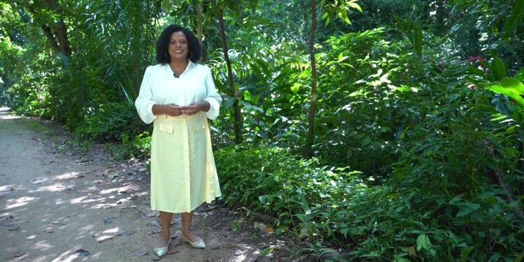 Vídeos do g1 e TV Bahia – domingo, 5 de julho de 2026