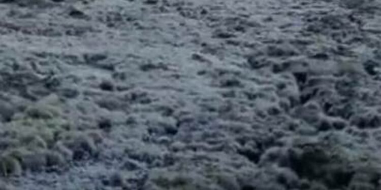 VÍDEO: Com -7,7°C, Parque Nacional do Itatiaia registra menor temperatura do ano na reserva