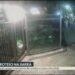 VÍDEO: PM reage a tentativa de assalto e mata ladrão na Barra da Tijuca VÍDEO: PM reage a tentativa de assalto e mata ladrão na Barra da Tijuca