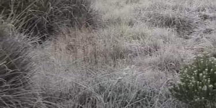 VÍDEO: Com -11°C, Parque Nacional quebra o próprio recorde e registra menor temperatura do ano na reserva VÍDEO: Com -11°C, Parque Nacional quebra o próprio recorde e registra menor temperatura do ano na reserva
