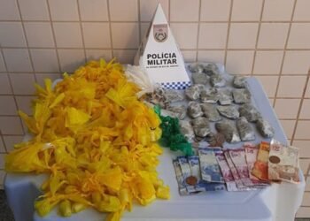 Polícia apreende mais de 200 porções de drogas em caixa de aterramento em Santo Antônio de Pádua