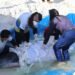 Baleia resgatada após encalhes em Cabo Frio apresenta melhorias e segue em reabilitação