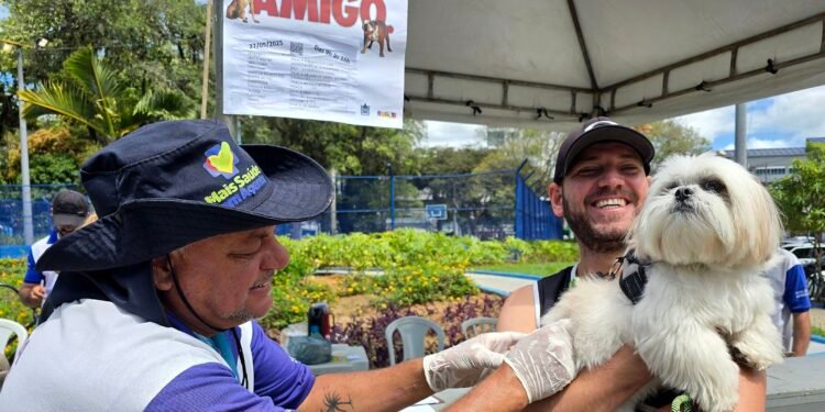 Pré-campanha de vacinação antirrábica para cães e gatos começa no RJ
