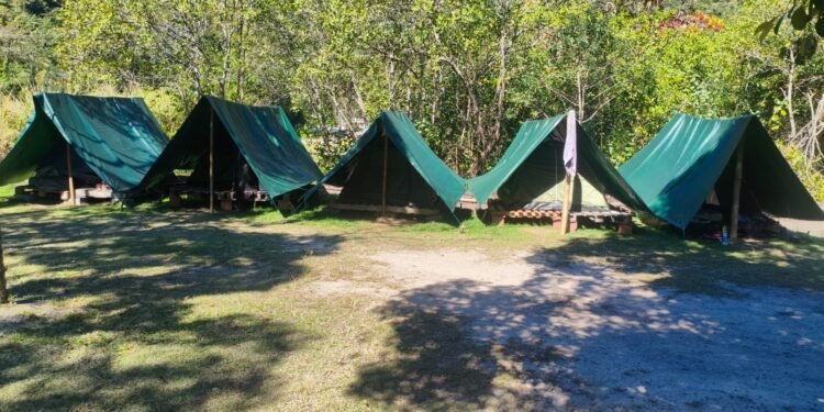 Polícia Ambiental identifica acampamento irregular no manguezal de Paraty