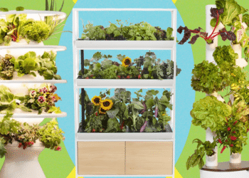 As Melhores Hortas Verticais Internas para 2026: Cultivo Fresco e Sustentável em Casa