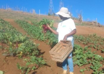 Italva e Cachoeiras de Macacu recebem encontros sobre agroecologia e agricultura familiar