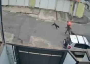 Gesseiro Salva Mulher e Cachorro de Ataque de Pitbull em Juiz de Fora