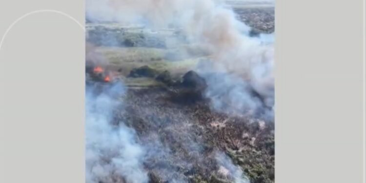 Vídeo mostra incêndio em área de mata em Tamoios Vídeo mostra incêndio em área de mata em Tamoios