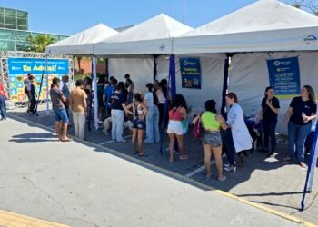 Parte da família: Macaé garante cuidado integral para animais domésticos