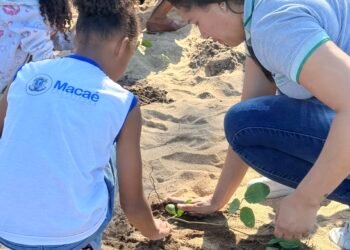 Praia do Pecado, em Macaé, recebe 10 mil mudas nativas para recuperar restinga