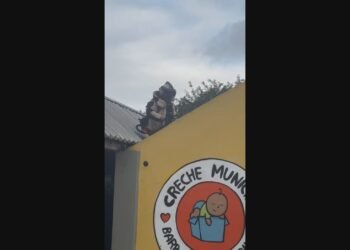 Granada é encontrada em telhado de creche na Zona Norte do Rio