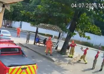 Gato é resgatado pelos bombeiros após ficar preso em árvore em Guapimirim; VÍDEO Gato é resgatado pelos bombeiros após ficar preso em árvore em Guapimirim; VÍDEO