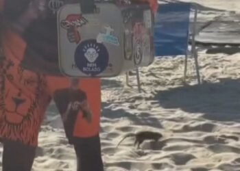 Rato de praia: roedor ‘passeia’ entre banhistas nas areias do Leblon