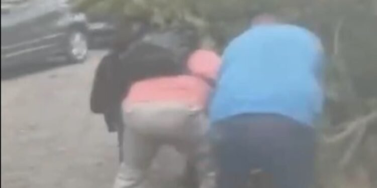 Funcionária da Fiocruz fica ferida após ser atingida por árvore durante ventania no RJ Funcionária da Fiocruz fica ferida após ser atingida por árvore durante ventania no RJ