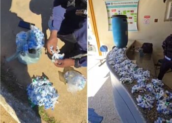 Cerca de 600 pinos de cocaína escondidos em tonel enterrado são encontrados pela PM em Natividade