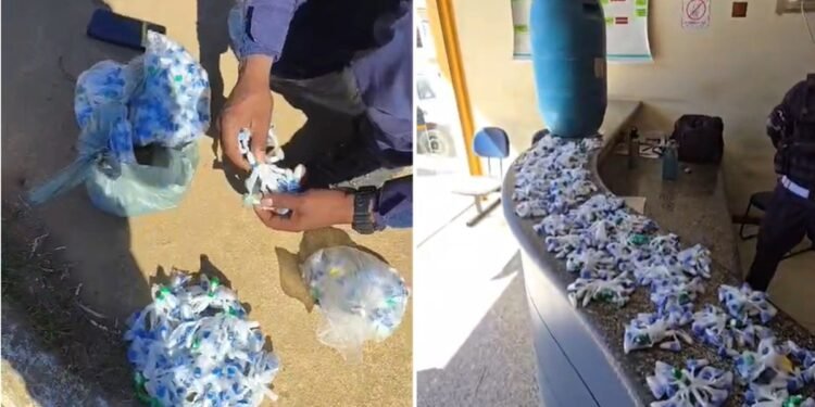 Cerca de 600 pinos de cocaína escondidos em tonel enterrado são encontrados pela PM em Natividade