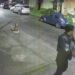 Vídeo: Criminosos usam fardas de Draco em área de milícia no Rio