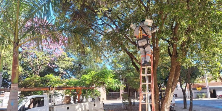 Montes Claros Aprimora Iluminação Pública com LED, Beneficiando Esportistas e Segurança Montes Claros Aprimora Iluminação Pública com LED, Beneficiando Esportistas e Segurança
