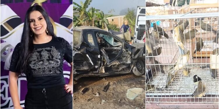 Destaques da Semana: Feminicídio, Tráfico de Aves Silvestres e Acidente Fatal em Minas Gerais Destaques da Semana: Feminicídio, Tráfico de Aves Silvestres e Acidente Fatal em Minas Gerais