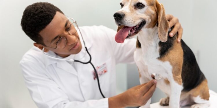 Montes Claros Terá Unidade Básica de Saúde Animal com Investimento de R Milhão Montes Claros Terá Unidade Básica de Saúde Animal com Investimento de R Milhão