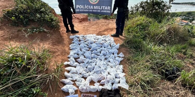 Drogas são encontradas na área de mata de Cabo Frio; valor estimado é de R$ 100 mil