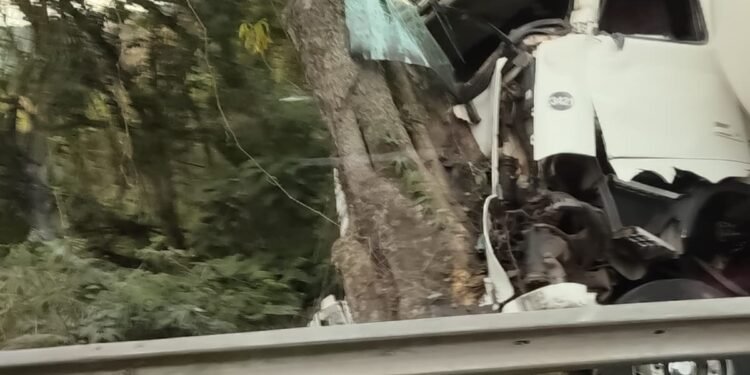 Caminhão carregado com gás bate em árvore após acidente na Via Dutra, em Barra Mansa
