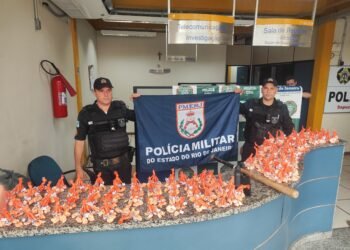Dupla é presa com cerca de 1 kg de cocaína durante ação em Sapucaia