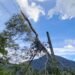 Ventania em Resende derrubou árvores e rompeu cabos elétricos Ventania em Resende derrubou árvores e rompeu cabos elétricos