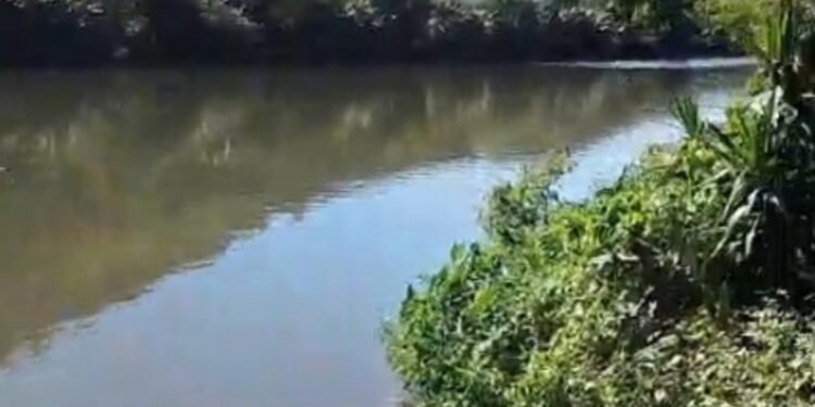 Corpo é encontrado no Rio Paraíba do Sul, em Volta Redonda