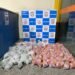 Apreensão de drogas em Piraí: Jovem é preso com 16 kg na RJ-145 Apreensão de drogas em Piraí: Jovem é preso com 16 kg na RJ-145