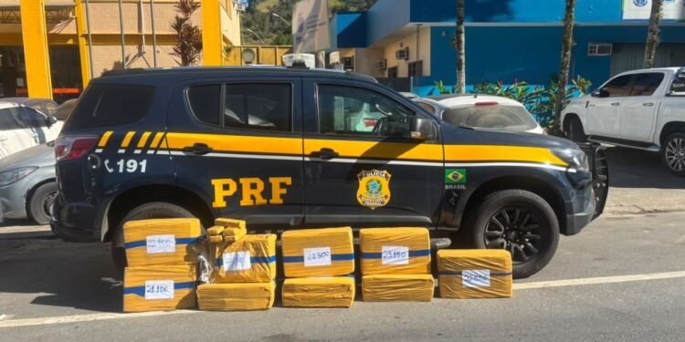 Jovem é preso por transportar cerca de 200 kg de maconha na Via Dutra, em Piraí Jovem é preso por transportar cerca de 200 kg de maconha na Via Dutra, em Piraí
