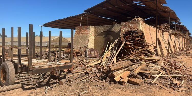 Polícia Ambiental identifica duas olarias clandestinas durante fiscalizações em Campos