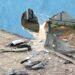 Adolescente bate carro contra muro de escola em Volta Redonda Adolescente bate carro contra muro de escola em Volta Redonda