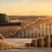 Agro: Desvendando as Oportunidades de Investimento em um Setor Essencial Agro: Desvendando as Oportunidades de Investimento em um Setor Essencial