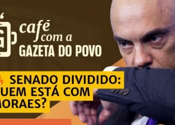 Programação: Café com a Gazeta do Povo Detalha Horário e Plataforma de Transmissão