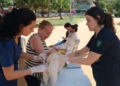 Juiz de Fora Inicia Campanha Gratuita de Vacinação Antirrábica para Cães e Gatos