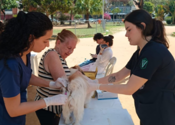 Juiz de Fora Inicia Campanha Gratuita de Vacinação Antirrábica para Cães e Gatos Juiz de Fora Inicia Campanha Gratuita de Vacinação Antirrábica para Cães e Gatos