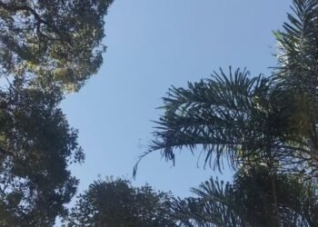 Sol e chuvas isoladas marcam a semana em Divinópolis e região