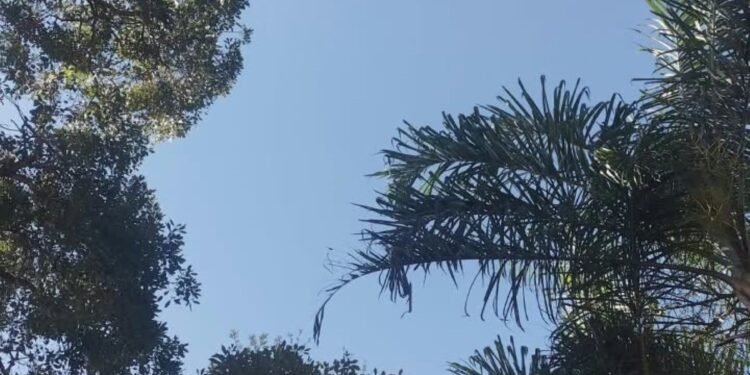 Sol e chuvas isoladas marcam a semana em Divinópolis e região Sol e chuvas isoladas marcam a semana em Divinópolis e região