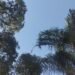 Sol e chuvas isoladas marcam a semana em Divinópolis e região Sol e chuvas isoladas marcam a semana em Divinópolis e região