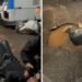 Motociclista fica ferida após bater em ônibus em avenida esburacada de Campo Grande