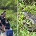 Sucuri de oito metros surpreende crianças durante rara aparição em rio cristalino de Bonito; veja vídeo Sucuri de oito metros surpreende crianças durante rara aparição em rio cristalino de Bonito; veja vídeo