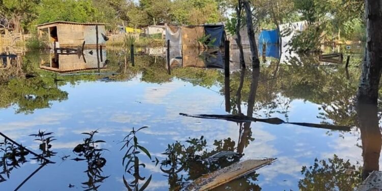 Água invade moradias, destrói móveis e deixa moradores ‘ilhados’ em comunidade de Campo Grande Água invade moradias, destrói móveis e deixa moradores ‘ilhados’ em comunidade de Campo Grande