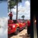 VÍDEO: fumaça saindo de castanheira chama atenção e mobiliza bombeiros no PA; especialista explica causas