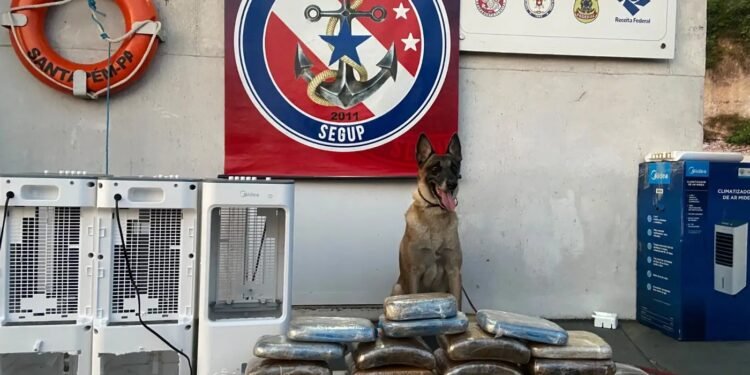 Drogas são encontradas escondidas dentro de ar-condicionado em embarcação, em Óbidos Drogas são encontradas escondidas dentro de ar-condicionado em embarcação, em Óbidos