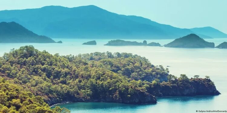 Naufrágio mais antigo do mundo: arqueólogos encontram navio que afundou há quase 5 mil anos na Turquia Naufrágio mais antigo do mundo: arqueólogos encontram navio que afundou há quase 5 mil anos na Turquia