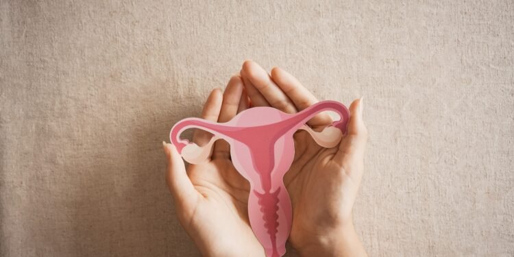 Como a imunoterapia está transformando o tratamento do câncer de endométrio Como a imunoterapia está transformando o tratamento do câncer de endométrio
