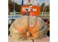 Abóbora de 1.500 kg bate recorde mundial e entra para o Guinness; fruto renderia 3 mil tortas