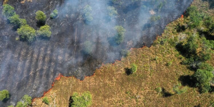 ‘Mudanças climáticas’ ou ‘mudança climática’? Por que a diferença entre singular e plural faz diferença